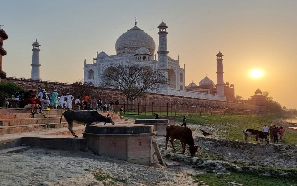 Taj Mahal Experience Guided Tour With Lunch at 5-Star Hotel - Transportation Options