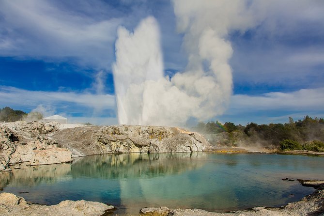 Tauranga-Rotorua: Canopy Tree Walk-Geysers: Private Tour. - Meeting and Pickup Details