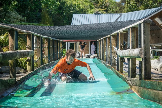 Tauranga: Waimarino Adventure Park - Facilities and Amenities