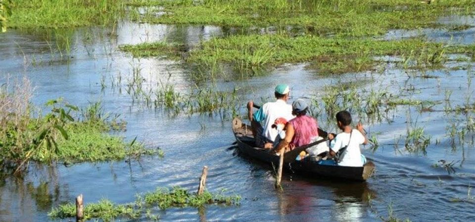 The BEST Manaus Tours and Things to Do - Adventure and Nature Highlights