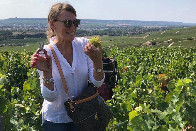 The Connoisseurs From Epernay (Private Half Day Champagne Tour) - Guest Experience Insights