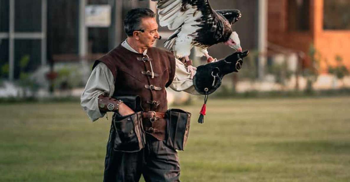 The Court of the Falconer Masseria Mazzetta - Live Demonstration Highlights