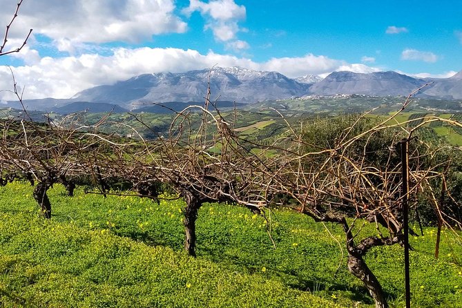 The Gourmet Wine Tour of Heraklion Area - Olive Oil Experience