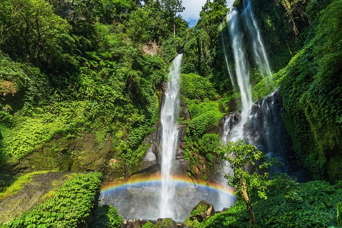 The Sekumpul Waterfall and Temple Small Group Tour - Inclusions and Amenities