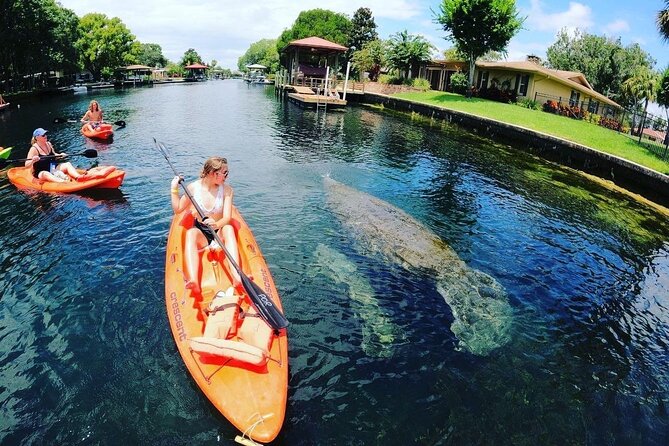 Three Sisters Springs Kayak And Swim Eco-Tour Crystal River - Meeting Point and Launch Fee