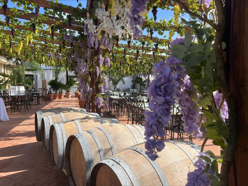 Thursday in the Cellar - Dinner and Tasting in Winery - Wine Tasting Experience