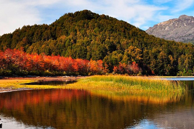 Tierra Del Fuego National Park With the End of the World Train - Scenic Attractions and Wildlife