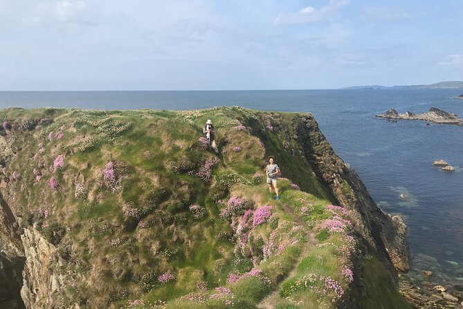 Toe Head Clifftop Hike in West Cork - Inclusions of the Tour