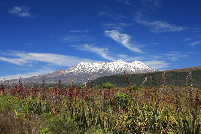 Tongariro Discovery Walk - Transportation and Logistics