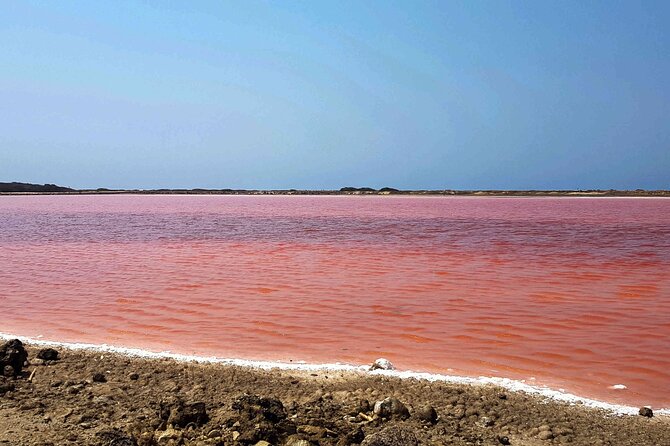 Totumo Volcano and Mar Rosa Tour in Cartagena With Lunch - Traveler Experiences and Feedback