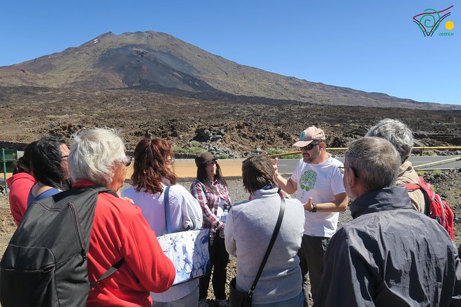 Trekking, Wineries, Birdwatching, Local Gastronomy, Etc. - Wine Tours in Tenerife