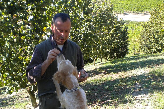 Truffle Hunt & Barolo Wine Tasting - Customer Reviews Highlights