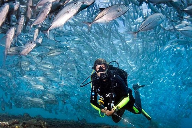 Tulamben Diving Tour Shipwreck USS Bali - Health and Safety Guidelines