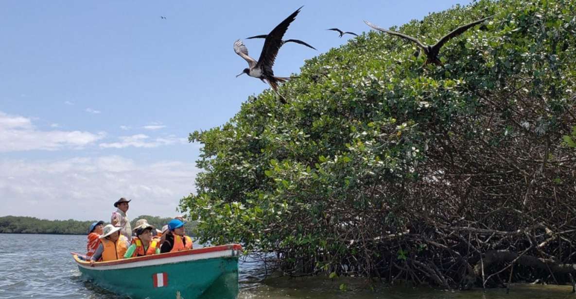 Tumbes: Mangrove National Sanctuary - Unique Experience Highlights