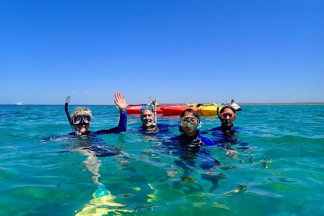 Turtle Tour - Ningaloo Reef Half Day Sea Kayak and Snorkel Tour - Safety Measures and Considerations