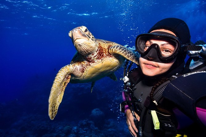 Tusa Reef Tours All Inclusive Great Barrier Reef Tour From Cairns - Participant Requirements and Restrictions