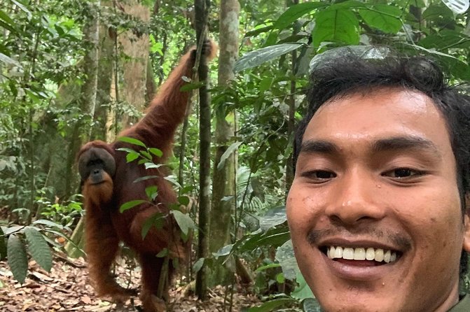 Two Days Orangutans Adventure in Gunung Leuser - Whats Included in the Tour