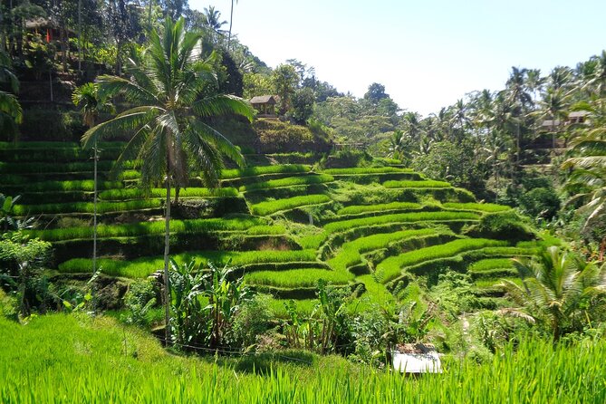 Ubud Costumize Tours - Booking Your Custom Tour