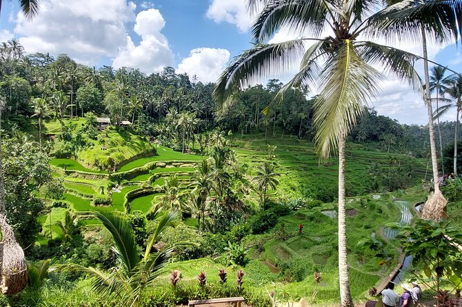 Ubud Customized Private Tour - Pickup and Transportation
