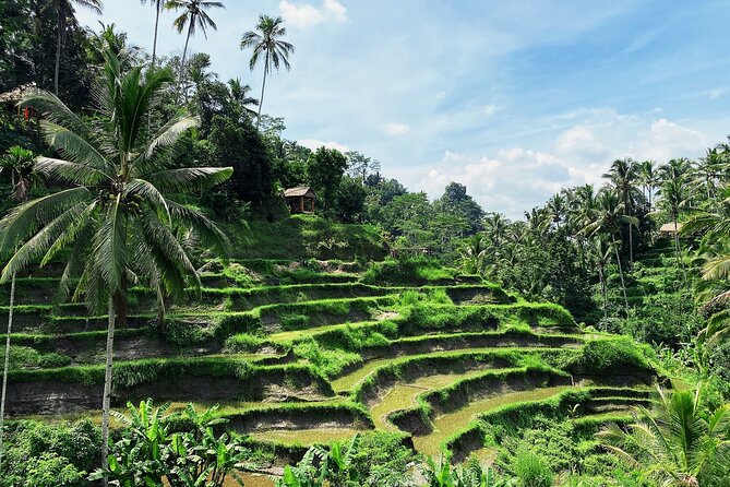 Ubud Experience | Full Day Private Tour in Ubud | FREE WIFI - Inclusions of the Tour