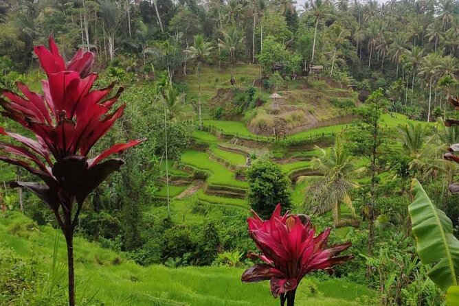 UBUD: Half Day Ubud Tour With Holy Water Body Cleansing - Health and Safety