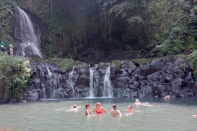 Ubud Tamansari Natural Pool Bali Swing Private Guided Tour - Inclusions and Pricing Details