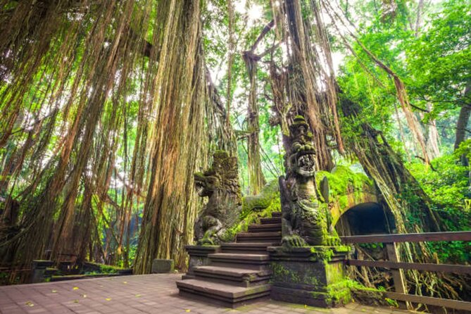 Ubud Tour: Monkey Forest - Temple - Waterfall & Rice Terrace - Scenic Waterfall Visits