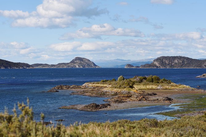 Ushuaia Shore Excursion: Private Tour of Tierra Del Fuego National Park - Guided Experience