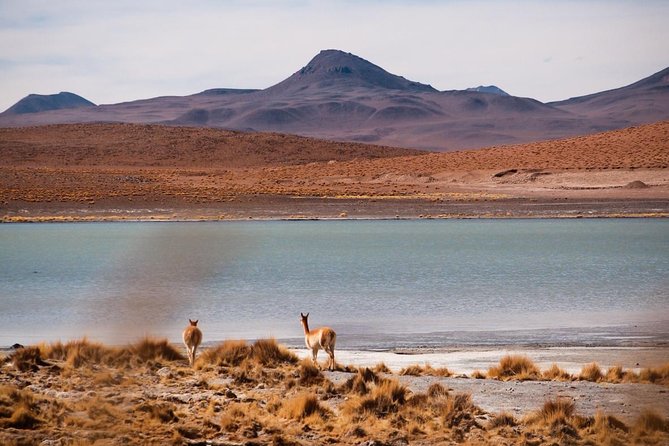 Uyuni Salt Flats Private 3 Day Tour (Palacio Sal 5* & Tayka 3* Hotels) - Cancellation Policy