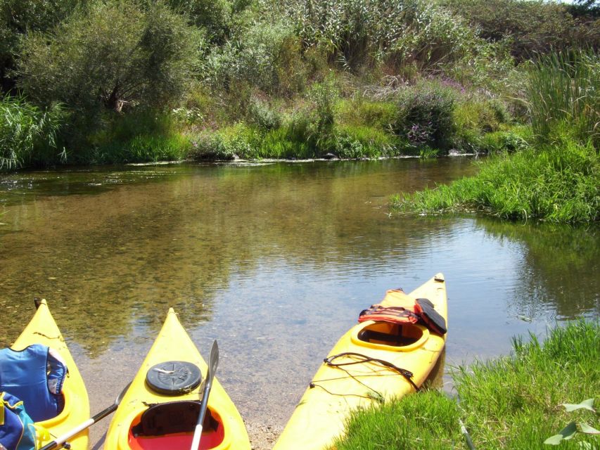 Valledoria: Coghinas River Kayak Rental - Kayak Options and Inclusions