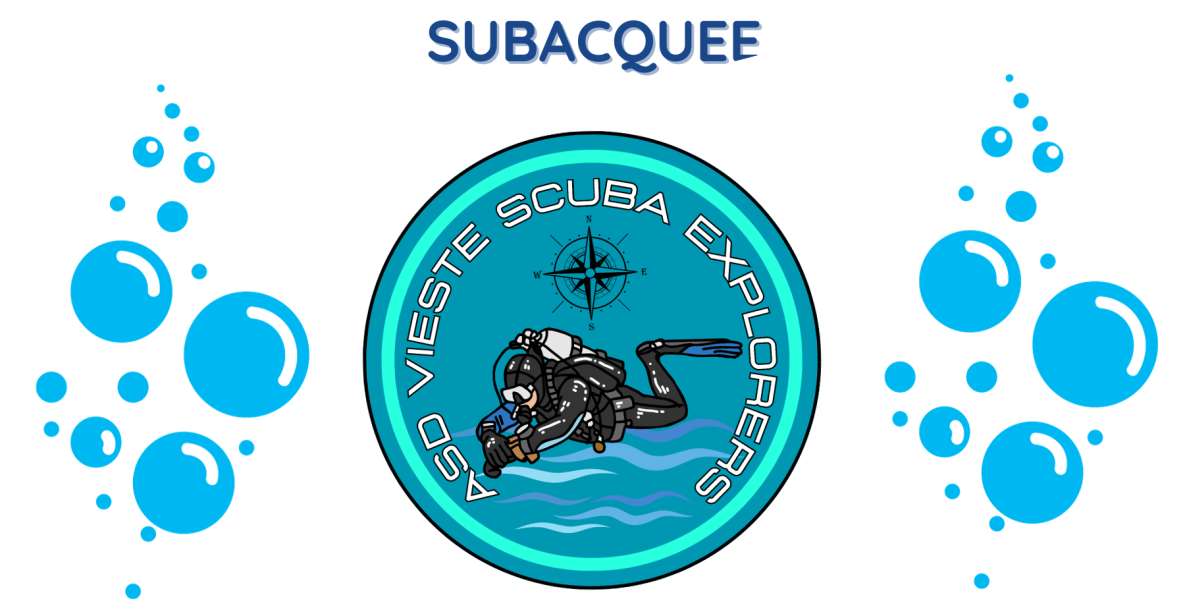 Vieste: Scuba Experience and Diving Courses - Diving Course Options