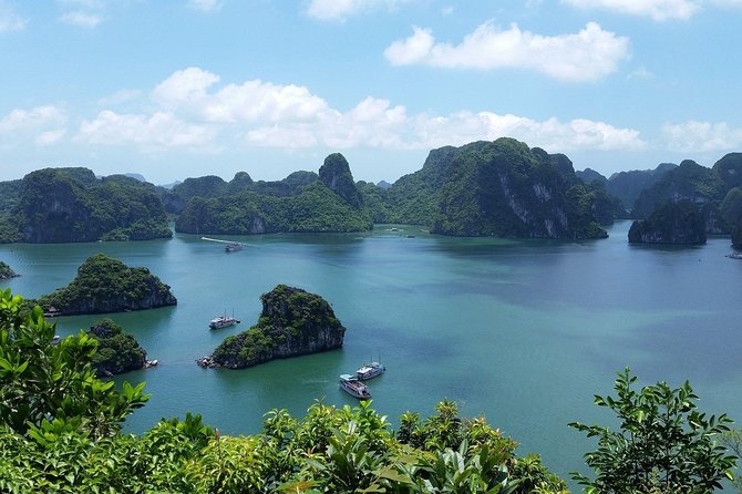 Vietnam Super Save Tour in 10 Days - Departure From Ho Chi Minh - Tour Ratings and Reviews