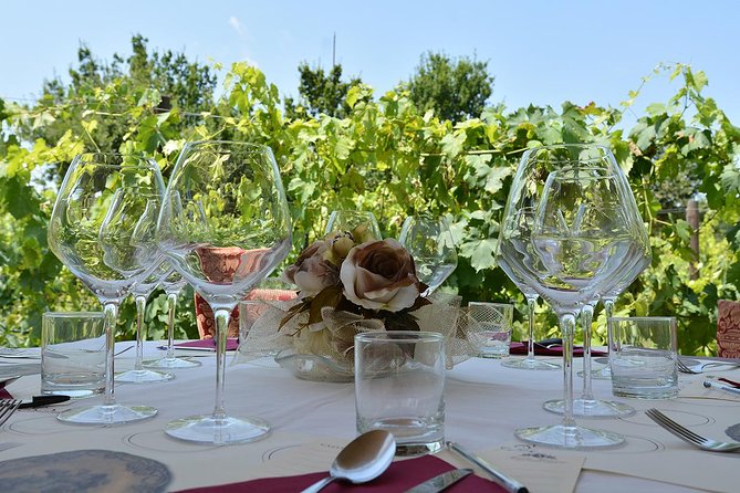 Vineyard Walk & Wine Tasting in Tuscany - Wine Tasting Details