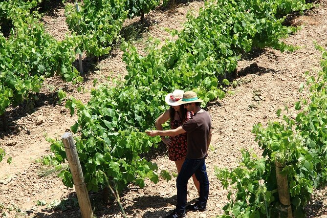 Viticulture and Wine-Tasting 3-Hour Trip From Barcelona - Booking Details and Requirements