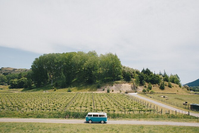 VW Kombi Napier/Hawkes Bay Scenic & Art Deco Tour - Accessibility Features