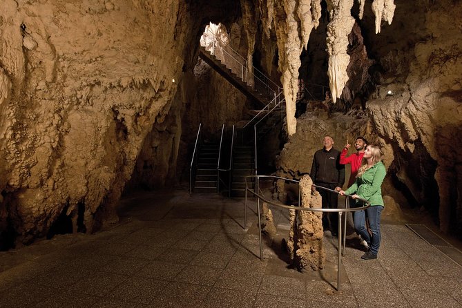 Waitomo Glowworm Caves Guided Tour - Visitor Ratings and Reviews