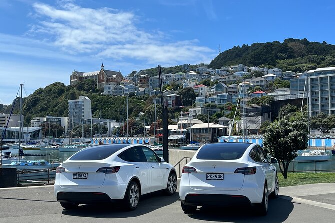 Wellington Full Day Private Tour in Electric Tesla SUV - Unique Tour Experience