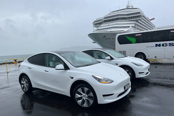 Wellington Private Tandem Tesla Tour - Inclusions and Amenities