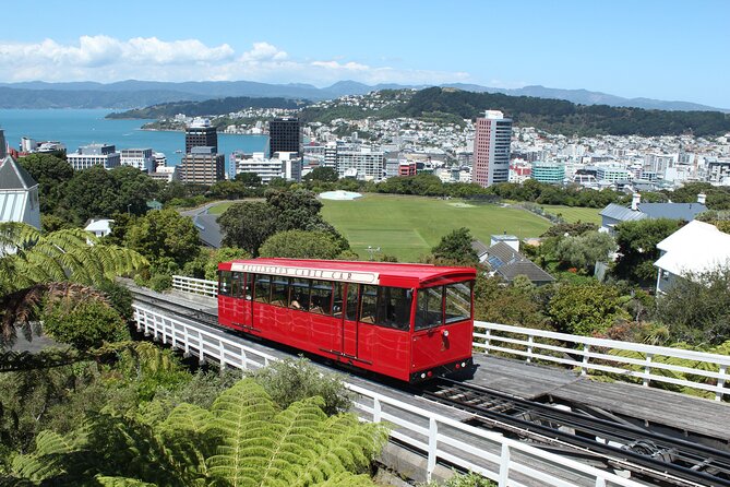 Wellington Scenic Full Day Tour - Cultural Landmarks Visited