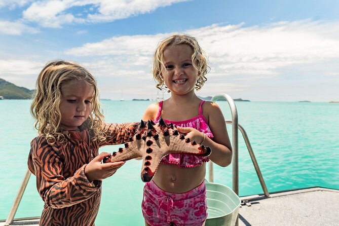 Whitehaven Beach and Hill Inlet Day Tour | Aussie Beach BBQ | Family Friendly - Transportation and Pickup Details