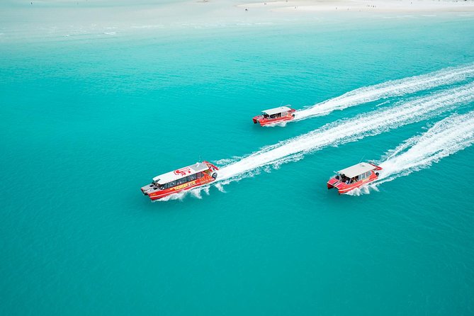 Whitehaven Beach and Hill Inlet Lookout Snorkeling Cruise - Inclusions and Logistics