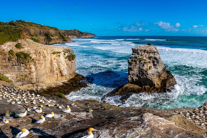 Wild West Coast & Black Sand Beach Tour Incl Craft Beer Brewery Lunch & Tasting - Accessibility Information