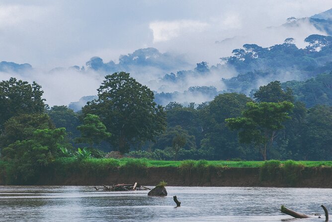 Wildlife Odyssey: Hike in Carara Park & Tarcoles River Adventure - Wildlife Encounters on the Tour