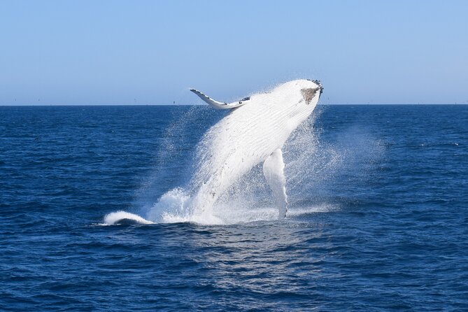 Wilsons Prom Whale Cruise - Booking and Cancellation Policies