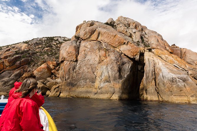 Wilsons Promontory Wilderness Cruise From Tidal River - Wildlife Encounters