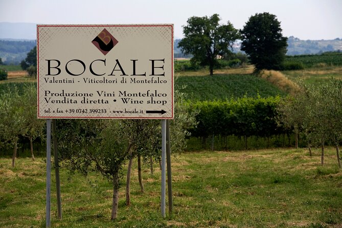 Winery Tour and Private Tasting in Montefalco - Meeting Point and Accessibility