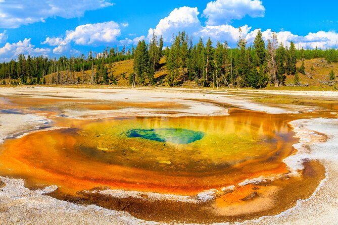 Yellowstone National Park Self-Guided Driving Audio Tour - Customer Feedback and Support
