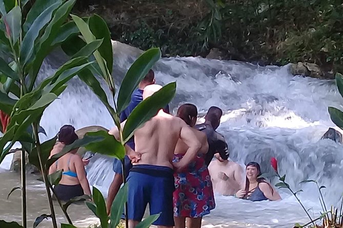 YS Falls & Pelican Bar Tour - Experience at Pelican Bar