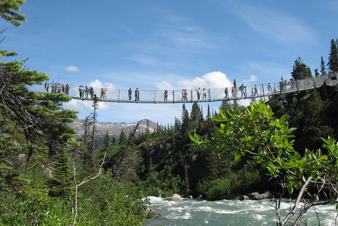 Yukon Suspension Bridge and Summit Tour - Unique Tour Experience