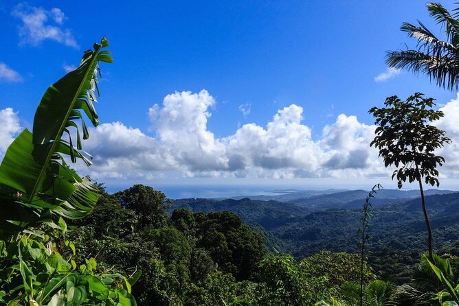 Zipline Canopy Adventure Tour With Transport From San Juan - What to Expect During the Tour